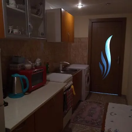 Holiday home Zu Eiche Viseu de Sus