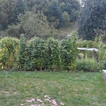 Zu Eiche Holiday home